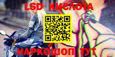молекула духа Будённовск