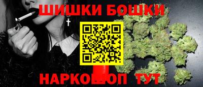 молекула духа Будённовск