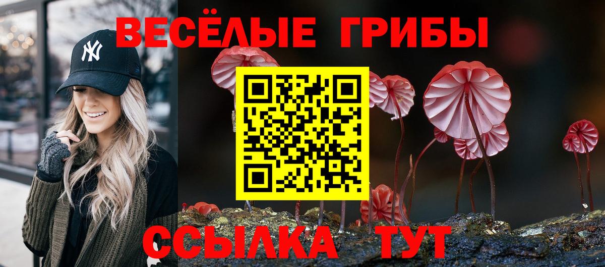Псилоцибиновые грибы ЛСД Нягань